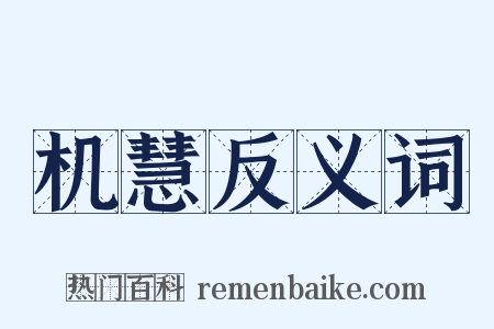机慧反义词是什么意思的图片